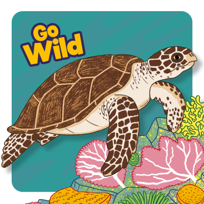 Cartoon turtle on Go Wild themed background