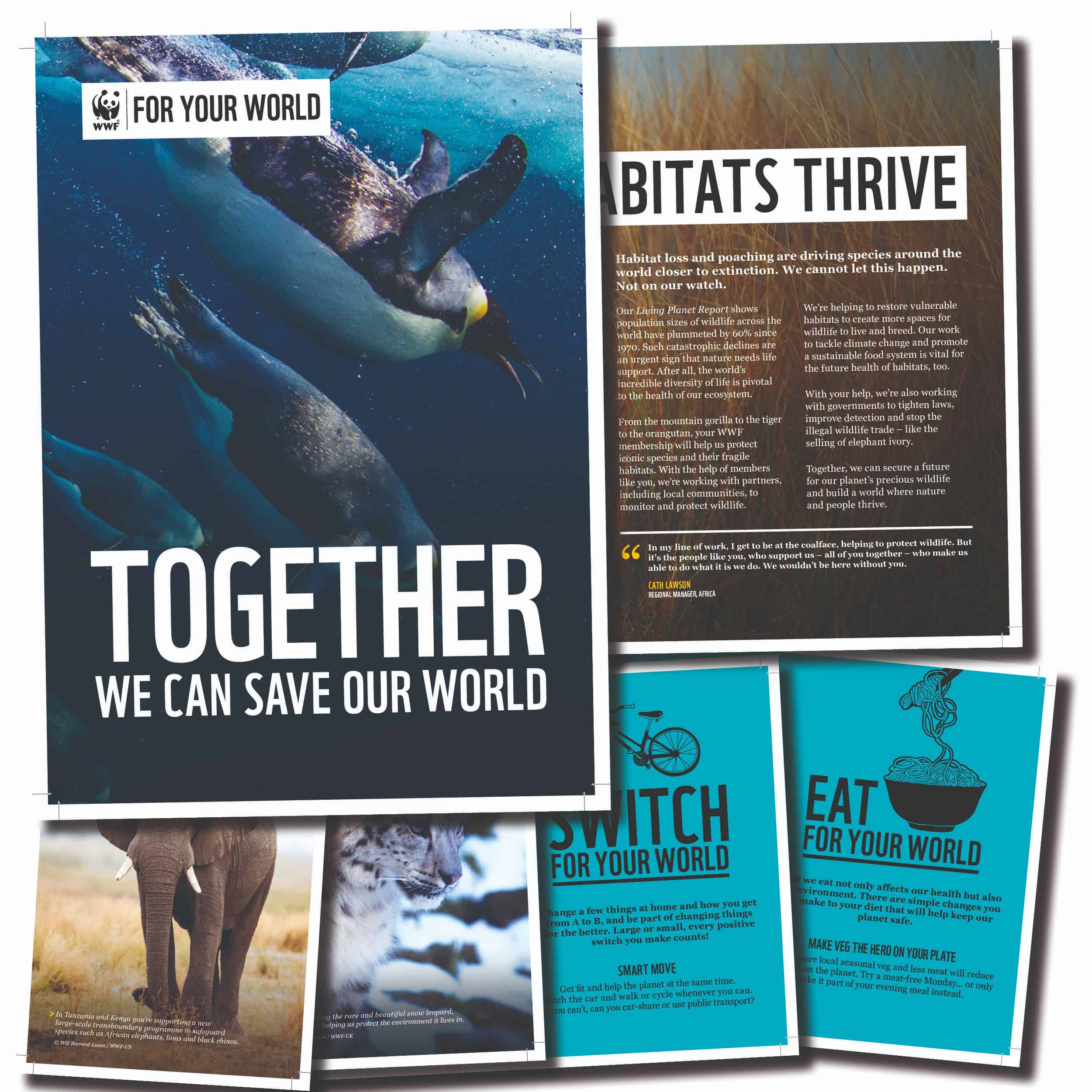 Wwf | Become A Member Today