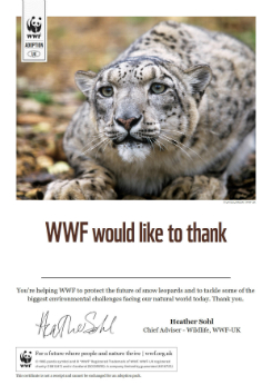 Snow Leopard Certificate