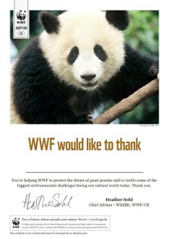 Panda certificate
