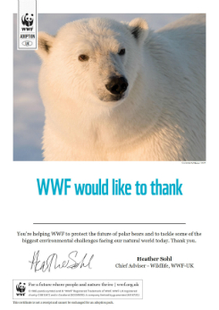 Polar Bear Certificate