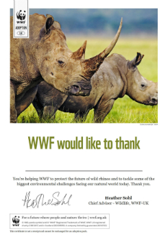 Rhino Certificate
