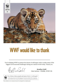 Tiger certificate