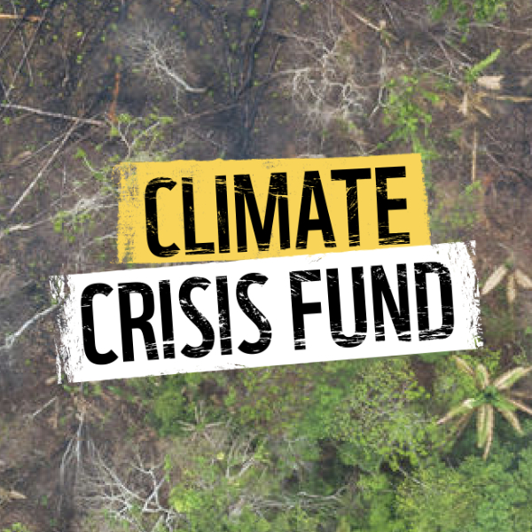 Climate Crisis Fund | WWF UK