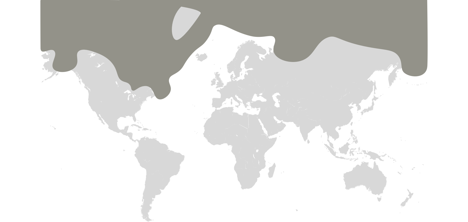 Polar Bear Map