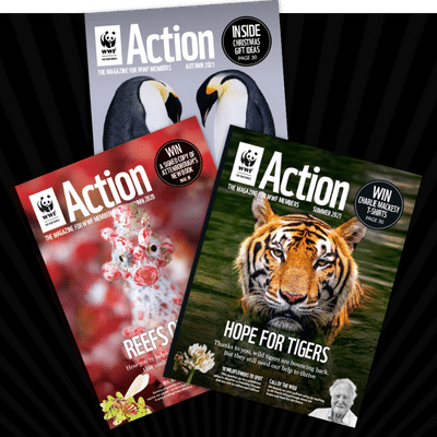 WWF Action Magazine