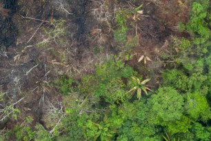 an aerial view of a deforested area of the Amazon Rainforest