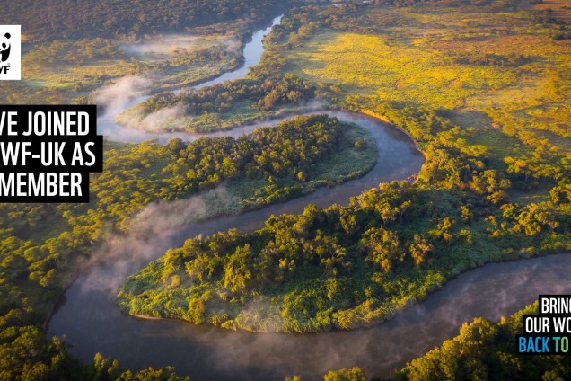 A virtual call background featuring a panoramic view of a river winding through green forest