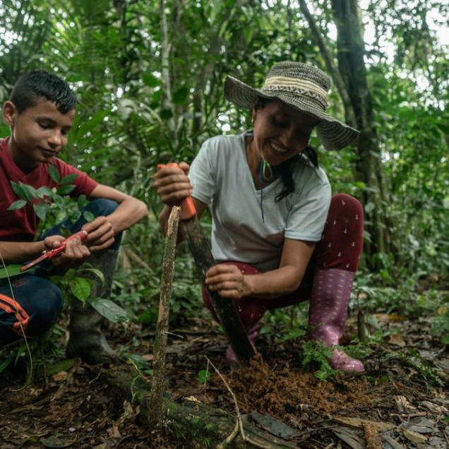 Two environmental promoters planting trees