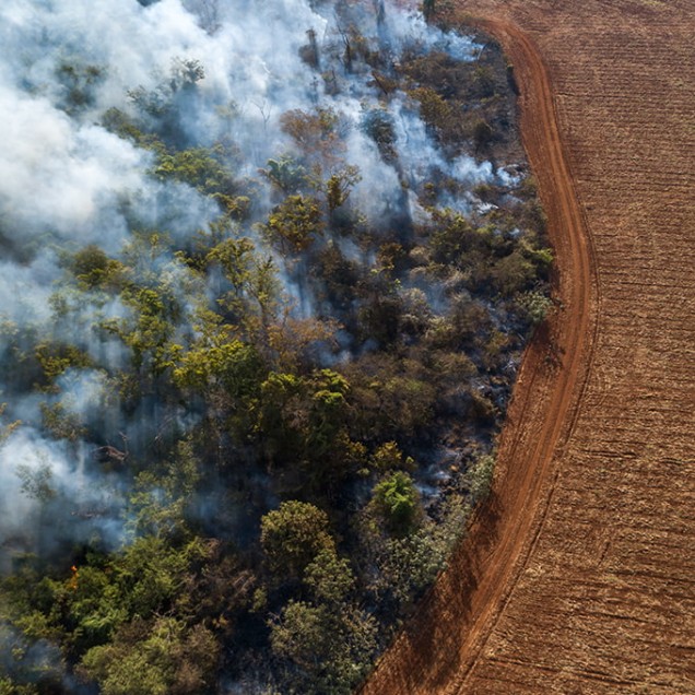  Aerial view of Amazon rainforest fire and deforestation