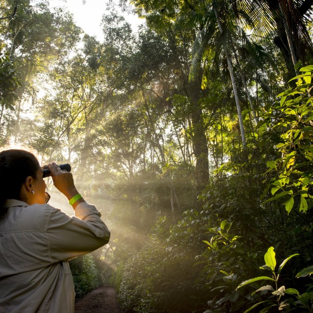 Patricia Leon surveying forest