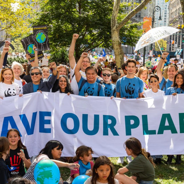 a save our planet WWF march in New York