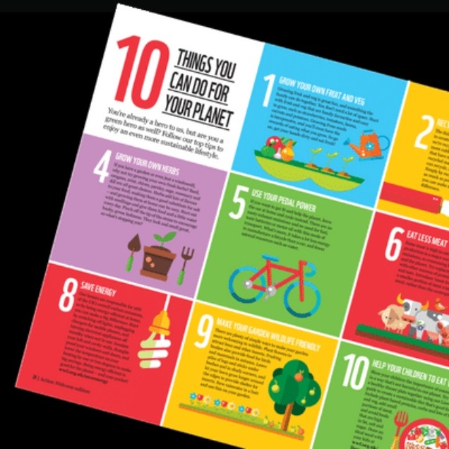 Sustainable living advice article