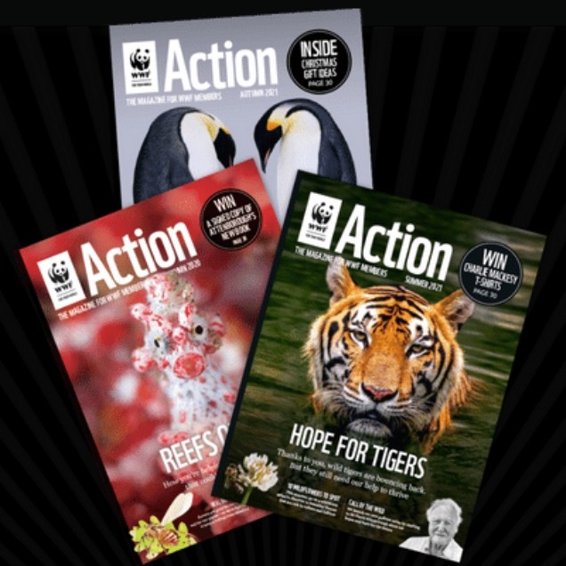 WWF Action Magazine