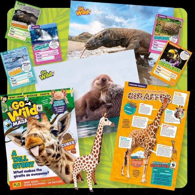 Go Wild magazine pages full of animal images