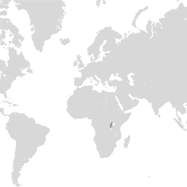 Map graphic detailing gorilla habitat ranges 