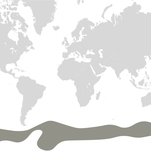 Map graphic detailing penguins' habitat range 