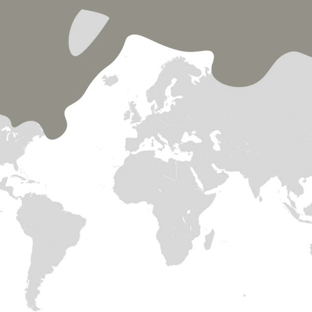 Map graphic detailing polar bear habitat range 