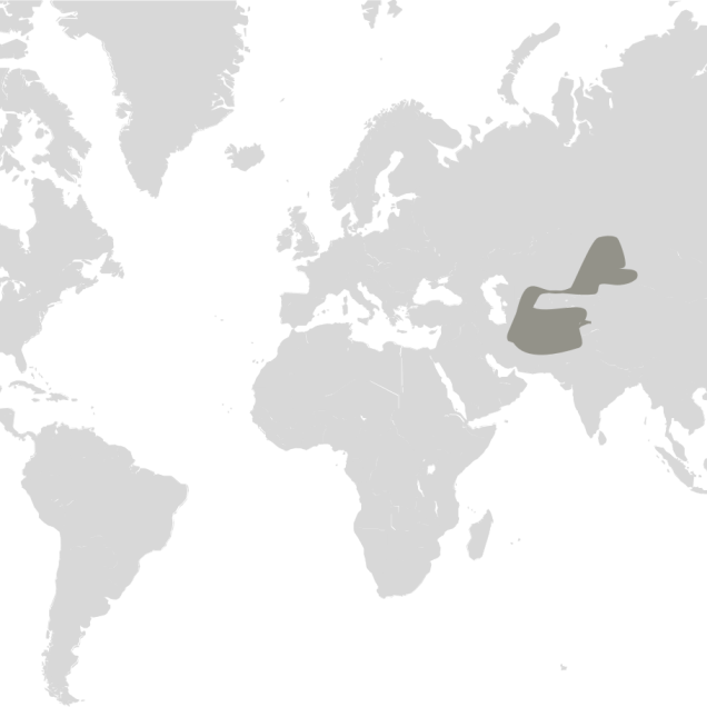 Map graphic detailing tiger habitat range 