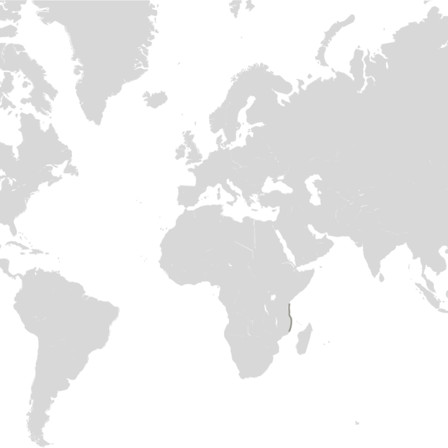 Map graphic detailing turtle habitat ranges 