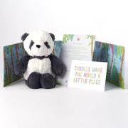 Panu Full Pack Including Soft Panda Toy, Postcard & Personalised Note