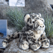 Snow leopard cuddly toy with background
