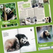 WWF Giant Panda Adoption Upodates