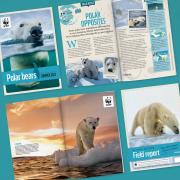 WWF Polar Bear Adoption Updates