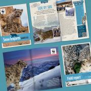 WWF Snow Leopard Adoption Update
