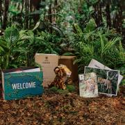 jaguar welcome pack with background