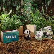 panda welcome pack with background