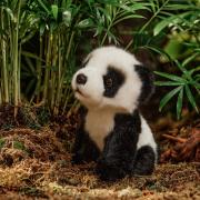 panda cuddly toy with background