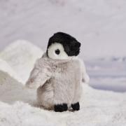 penguin cuddly toy with background