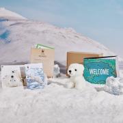 polar bear welcome pack with background