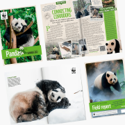 WWF Panda Adoption Updates