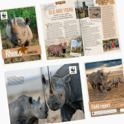 WWF Rhino Adoption Updates