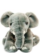 Adopt an Elephant | WWF