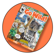 Go Wild! Magazine