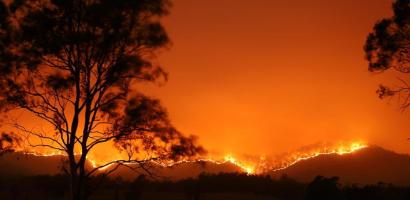 Landscape showing the affects of the Bushfire Australia, fires NSW November 2019