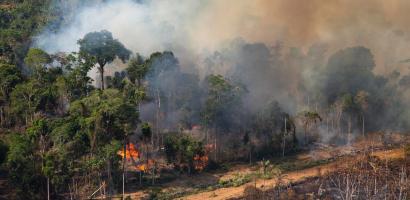 smoke spots and fire Amazon