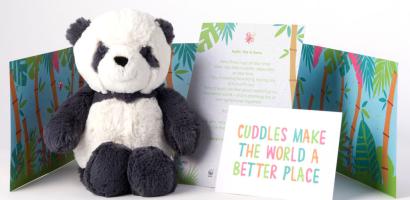 Panu The Panda Full Pack with soft toy, postcard and personalised note