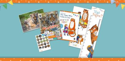 Tiger activity pack