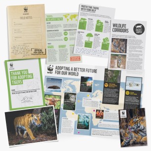 Contents of Tiger adoption welcome pack