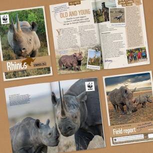 Page spread of Rhino Adoption Update