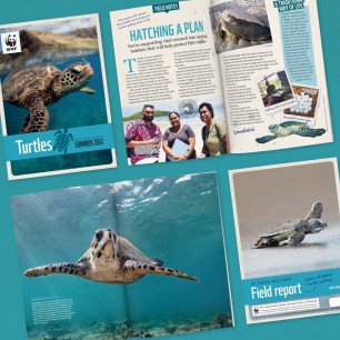 Page spread of Turtle Adoption Updates