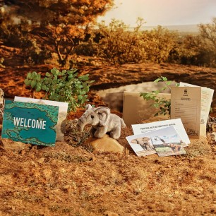 elephant welcome pack contents with trees in the background