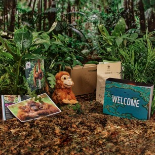 orangutan welcome pack contents in a forest