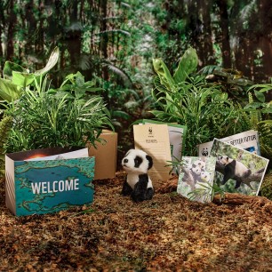 panda welcome pack contents in a forest