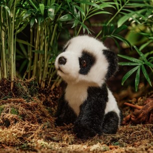 panda cuddly toy in front of leaves on forest floor