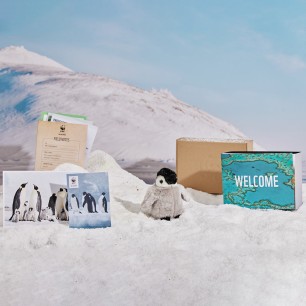 penguin welcome pack contents on snow in front of a mountain